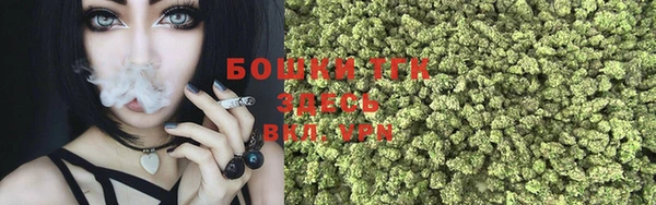 спиды Мегион