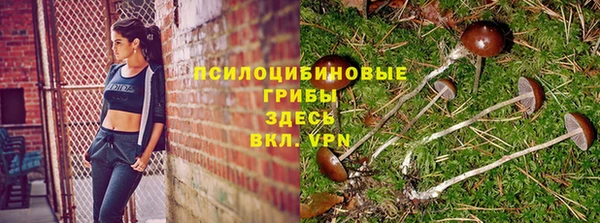 синтетический гашиш Медногорск
