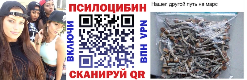 Псилоцибиновые грибы Psilocybe  что такое   Воронеж 